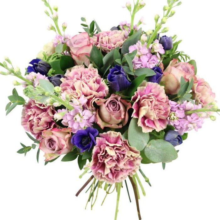 This lush, artfully arranged bouquet is set against a bright white background, allowing each hue and texture to stand out in clear detail as if on the counter of Florist Hammersmith. At the centre are full, romantic garden roses in shades of blush pink, dusty mauve, and antique rose, their spiral petals unfolding in soft layers. Surrounding them, generous ruffled carnations display an elegant gradient, moving from creamy beige and pale blush at the base to deeper rose, fuchsia, and plum-pink tones along their finely serrated edges, giving the arrangement a billowing, cloud-like fullness. Cutting through the warmth of the pinks, deep indigo-blue flowers-some appearing as smooth, tulip-shaped buds-provide a cool, velvety contrast. Near the lower front, a vivid royal blue anemone with a near-black centre offers a dramatic focal point, its dark eye adding intensity and depth. Slender stems of lilac and pale lavender stock rise above and between the larger blooms, each one bearing multiple small florets that lend height, delicacy, and a soft, sweet fragrance, reminiscent of traditional English gardens tucked behind Hammersmith terraces. The entire bouquet is cradled in an abundance of greenery: rounded, silvery eucalyptus leaves and deeper glossy foliage that bring structure, movement, and a fresh, green scent. At the base, the straight, gathered stems are clearly visible, emphasizing that this is a freshly tied bouquet, ready for flower delivery across Hammersmith, Barons Court, and along the river towards Fulham. The composition feels both luxurious and approachable, making it a beautiful choice for weddings, anniversaries, or any occasion when you want to send a message of tender elegance.